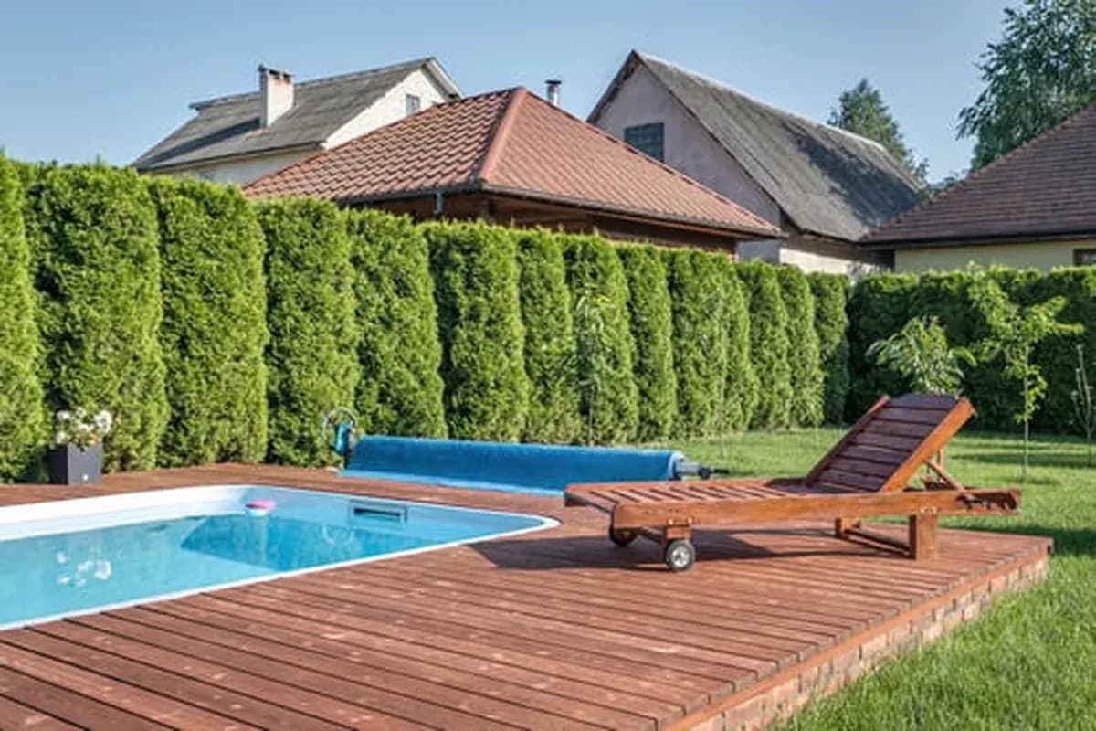 Backyard swimming pool with wood deck surrounded by tall hedges