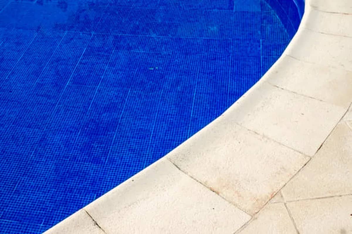 Curved pool edge with deep blue waterline tile and white stone coping